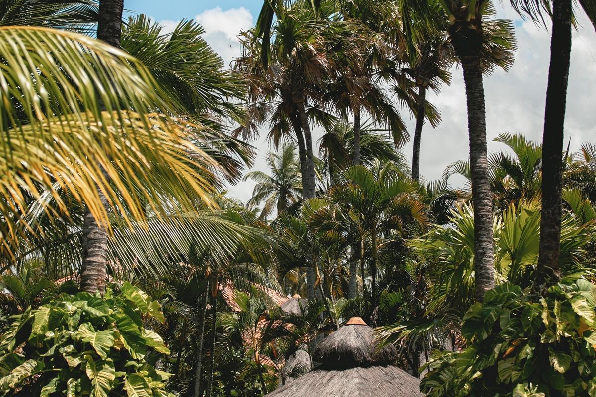 Ocapora Hotel All Inclusive Porto de Galinhas Luaran gambar